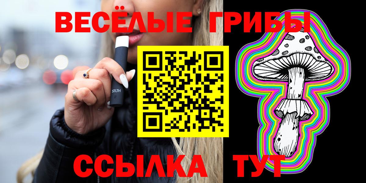 Электрогорск  Псилоцибиновые грибы Psilocybine cubensis  Вход с VPN 
